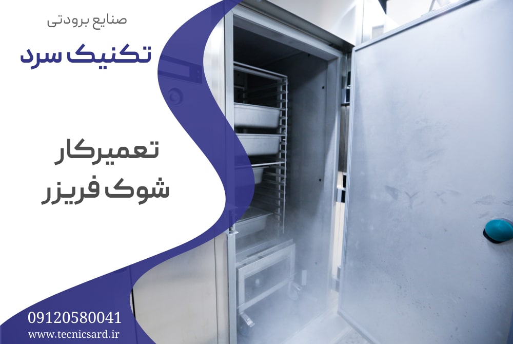 تعمیر کار شوک فریزر